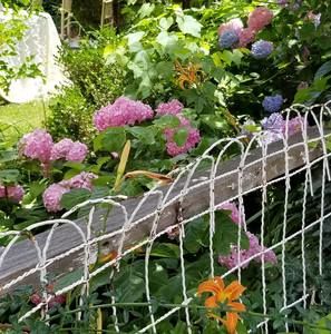 Meet your Posher, Trisha